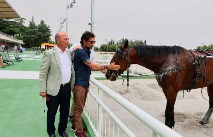Pferderennen: Die Pferderennbahn von Cesena startet am 21. Juni mit neuer Beleuchtung und einem öffentlich zugänglichen Preisverleihungsbereich wieder in Betrieb