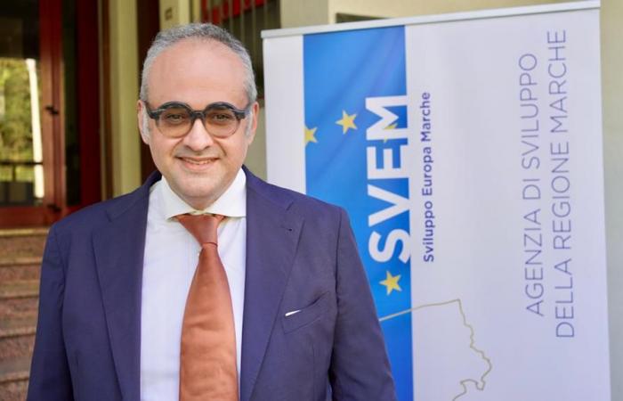 „Marken: das Innovationsökosystem“. Das von Svem organisierte Treffen in Ancona – Nachrichten Ancona-Osimo – CentroPagina