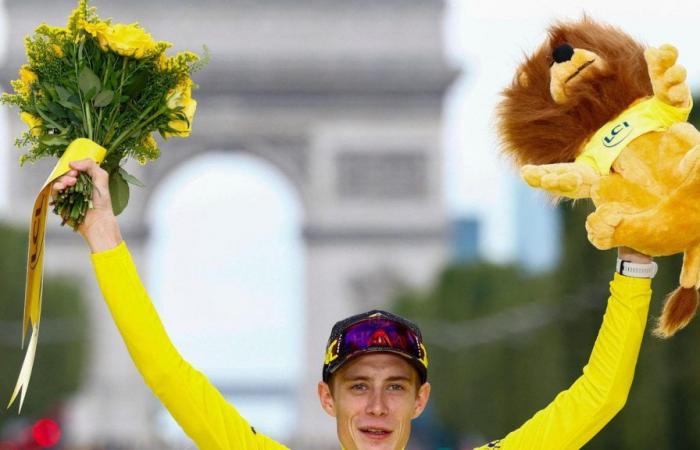 Tour de France, Bologna eingehüllt in 16 km gelbes Band. So gelangen Sie zu San Luca, zwei riesigen Bildschirmen