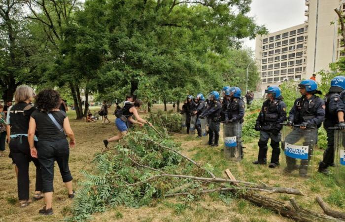 Zusammenstöße in Bologna bei Protesten zur Rettung von Bäumen: Aktivisten werden von der Polizei gezerrt