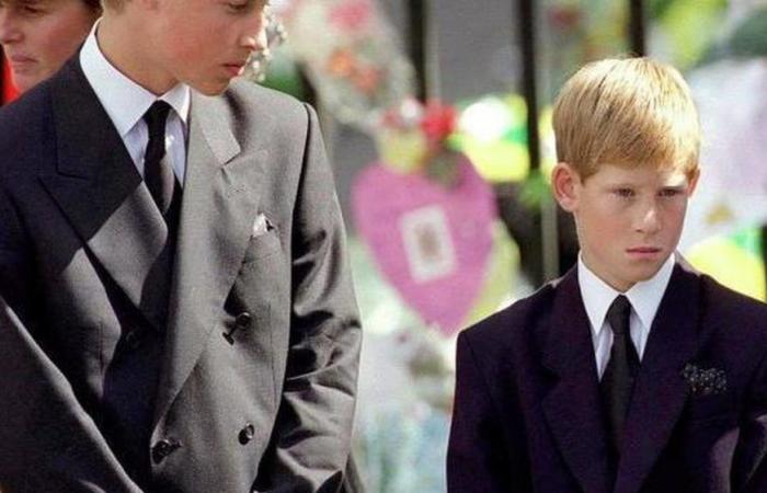Prinz Harry, das herzzerreißende Geschenk, das er nach Lady Dianas Tod erhalten hat: die neueste Enthüllung