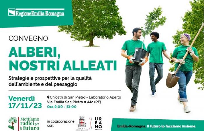 Eine Konferenz am Freitag, 17. November, in Reggio Emilia, um Bilanz zu ziehen und zukünftige Strategien zu skizzieren – Umwelt
