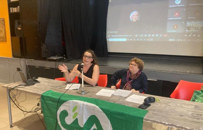 Weibliche Protagonisten der Entwicklung des toskanischen Territoriums und der Landwirtschaft: Sie machen 38 % der CIA-Unternehmen aus