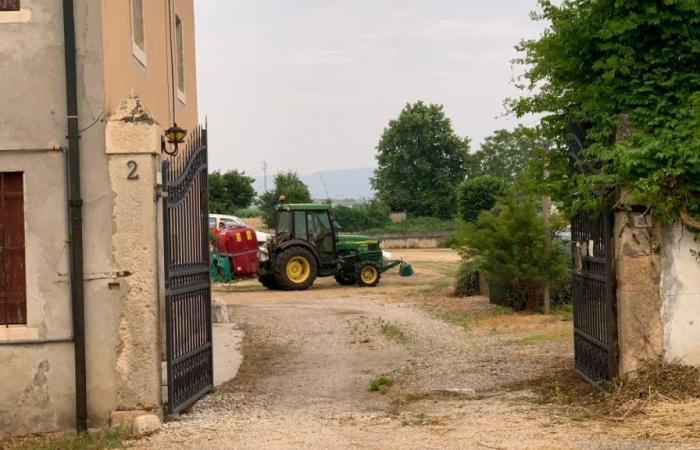 Vicenza überfährt seine Frau mit dem Traktor im Hof ​​des Familienbauernhofs: Die alte Frau stirbt kurz darauf