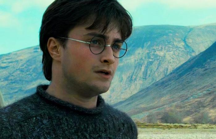 Daniel Radcliffe verrät, welches Buch er für die TV-Serie adaptieren möchte