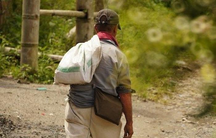 Positano News – Er verliert bei der Arbeit in Latina einen Arm und wird vor seinem Haus ausgesetzt: Satnam stirbt im Krankenhaus