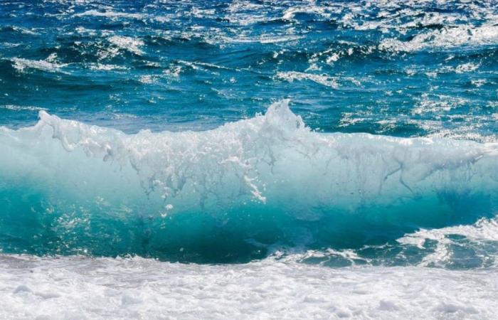 Apulien, Friaul und Sardinien: Wo ist das sauberste Meer Italiens 2024?