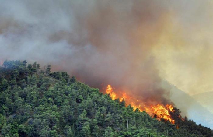 Ceprano, Anfrage nach einer saisonalen Feuerwehr zur Bekämpfung des Brandnotfalls – Tu News 24