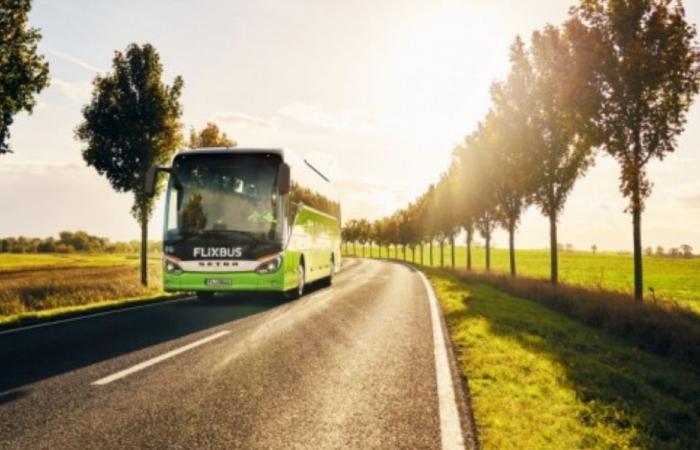 Sommer: FlixBus verstärkt sein Angebot in Cosenza und Kalabrien. In der Provinz wurden über 30 Zentren erreicht