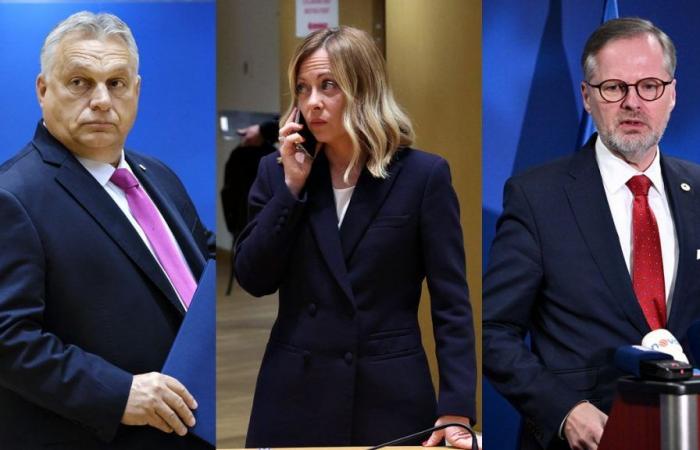 Analyse: Warum sich Orbán, Meloni und Fiala über die Spitzenpositionen in der EU ärgern