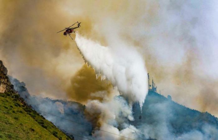 Camaldoli-Brand in Neapel, Wut nach dem Brand: „Verzögerungen und keine Prävention“