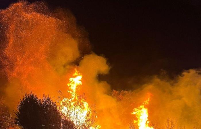 Waldbrände: Hier besteht eine ernste Gefahr für das gesamte Gebiet der Region – Nachrichten