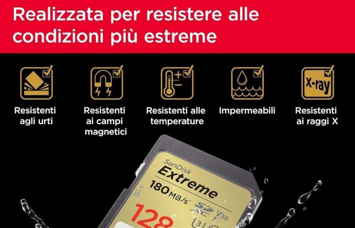 SanDisk 128 GB SD-Karte zum DISINTEGRIERTEN Preis: nur 24 €