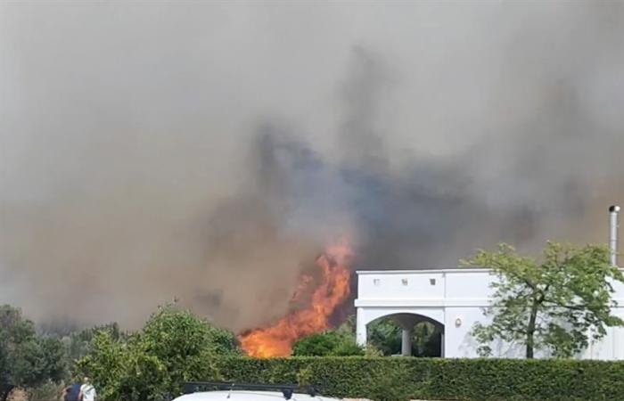 Manduria: „Eine zehn Meter hohe Feuerwand“, Paolo Picciones Haus von Flammen bedroht DAS VIDEO