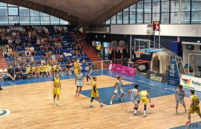 Basketball B2, Italservice Loreto Pesaro Enttäuschung. Virtus Ragusa fliegt in die nationale Serie B – News Pesaro – CentroPagina