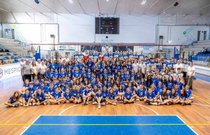 Trainer, die an das Projekt und den Jugendbereich glauben: Hier sind die Geheimnisse von Volleyball Faenza