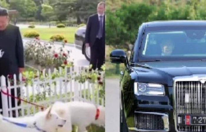 Luxusautos, die geheimnisvolle Kiste und legendäre Hunde: Was die Geschenke zwischen Kim und Putin verraten