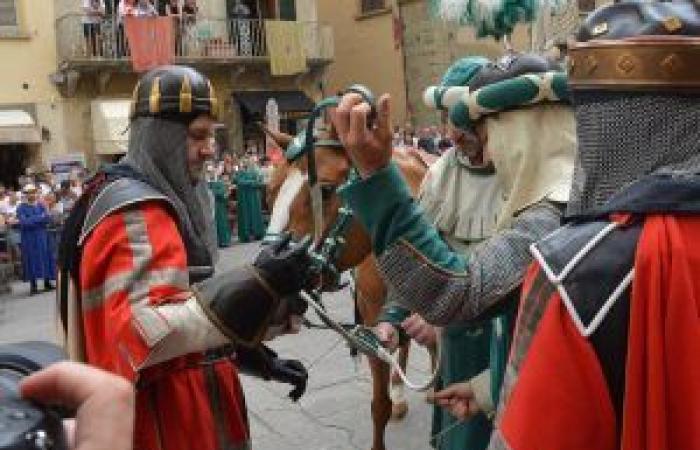Arezzo: Pferdebrandzeremonie der 145. Giostra del Saracino – Brontolo kommt zu Wort
