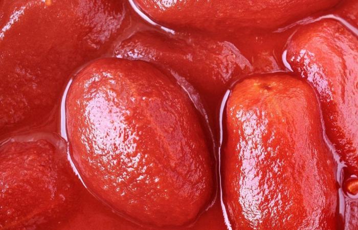 Für die Verarbeitung von Tomaten gibt es den Rahmenvertrag für Mitte und Süden – Wirtschaft und Politik