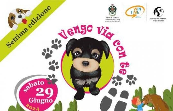 Velletri, „Ich komme mit dir“ ist zurück: die Hundeadoptionsinitiative im Santa Maria dell’Orto Park