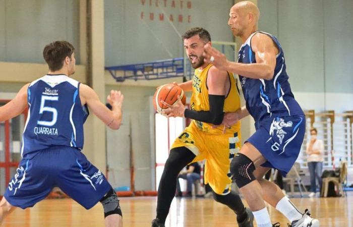 Basketball, CUS Pisa plant die neue Saison und startet erneut mit Francesco Fiorindi