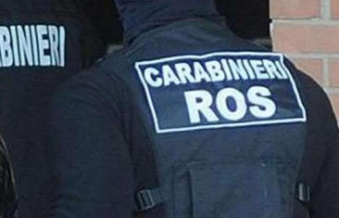 ‘Ndrangheta und Morde: 14 Festnahmen, auch die Polizei der Abruzzen im Einsatz – Pescara