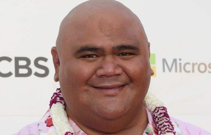 Taylor Wily, Schauspieler der Fernsehserie Hawaii Five-0, mit 56 Jahren gestorben – DiLei