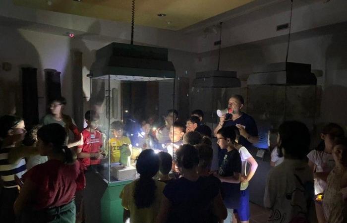 Zwischen Nervenkitzel und Kunst sind alle von „Eine Nacht im Museum“ in Trani begeistert