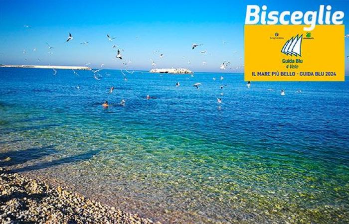 Bisceglie erhält die vier Segel in der Rangliste „Das schönste Meer“.