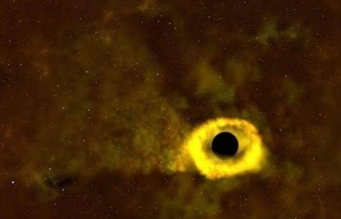 Schwarzes Loch zerstört Stern 375 Millionen Lichtjahre von der Erde entfernt: Sehen Sie sich das Video an