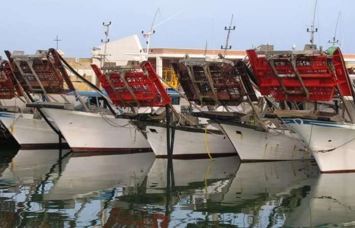 Fischereistopp nach Mitte August: Die Regierung leitet die Änderungen ein – Teramo