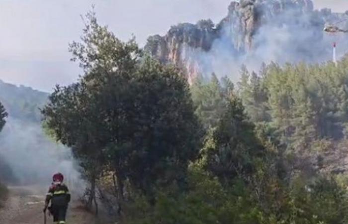 Dreizehn Brände heute auf Sardinien, bei sechs davon griffen Hubschrauber ein | Nachricht