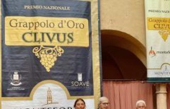 Grappolo d’Oro Clivus Monteforte d’Alpone 21. Juni 2024