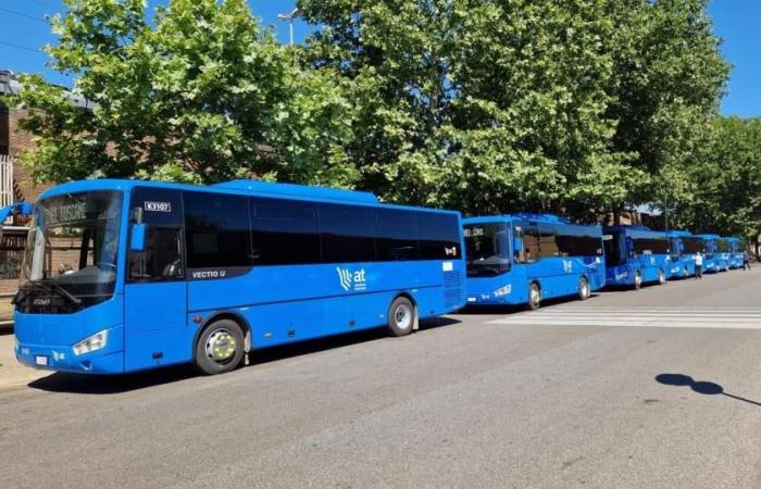 In der Toskana gibt es alle 2 Tage einen neuen Bus