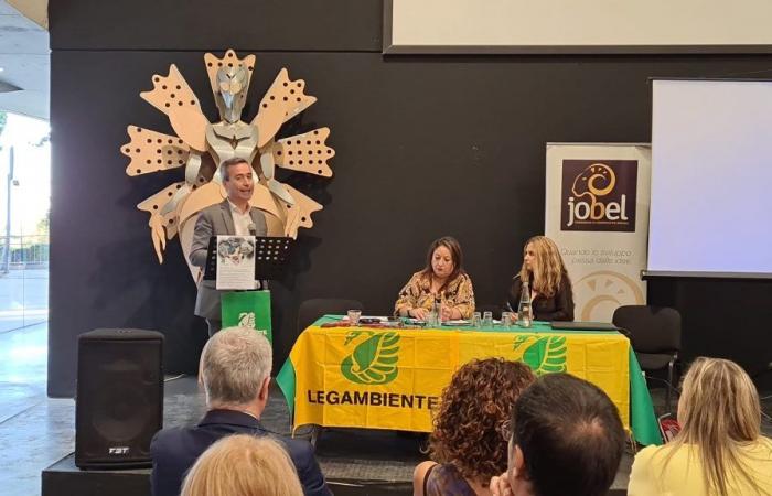 Landgewinnung und Gifte: Bürgermeister Voce, „Legambiente, ein absurder Vorschlag, der nur Eni nützen würde“