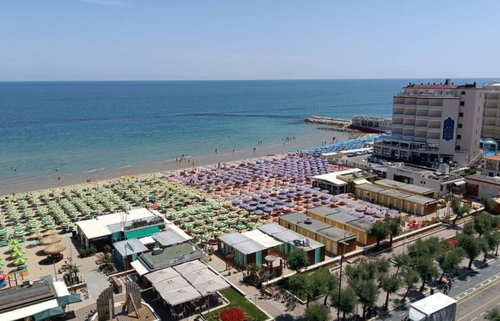 Pesaro, Apa Hotels wählt Marco Filippetti zum neuen Präsidenten – Nachrichten Pesaro – CentroPagina