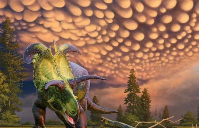 Dinosaurier, hier ist der Lokiceratops, der Riese (Pflanzenfresser), der seinen Namen vom Gott Loki hat