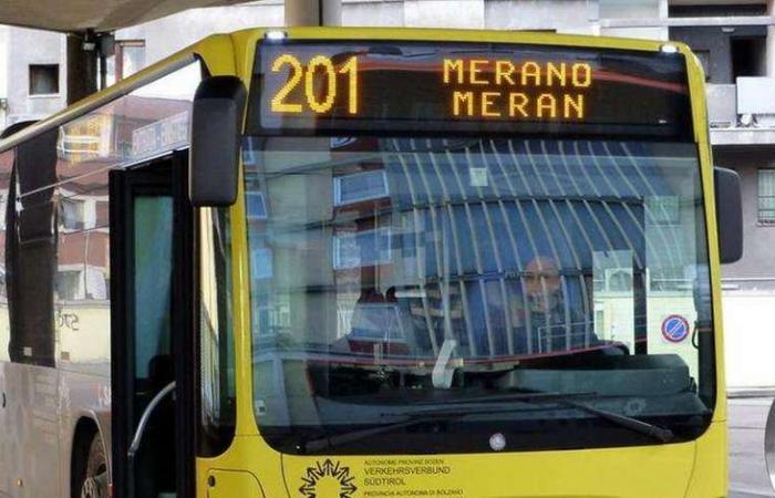 Metrobus, Leifers und Bozen: Auf der Jagd nach Staatsgeldern – News