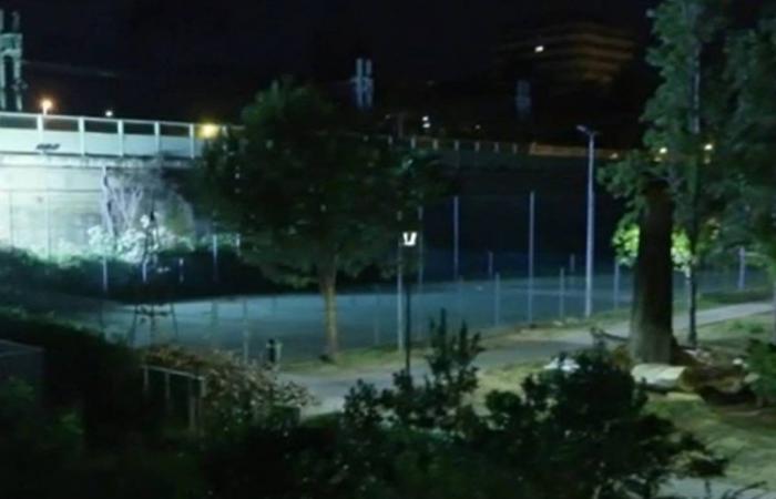 Pescara, 15-Jähriger tot in einem Park aufgefunden: Zwei Minderjährige wegen Mordes verhaftet