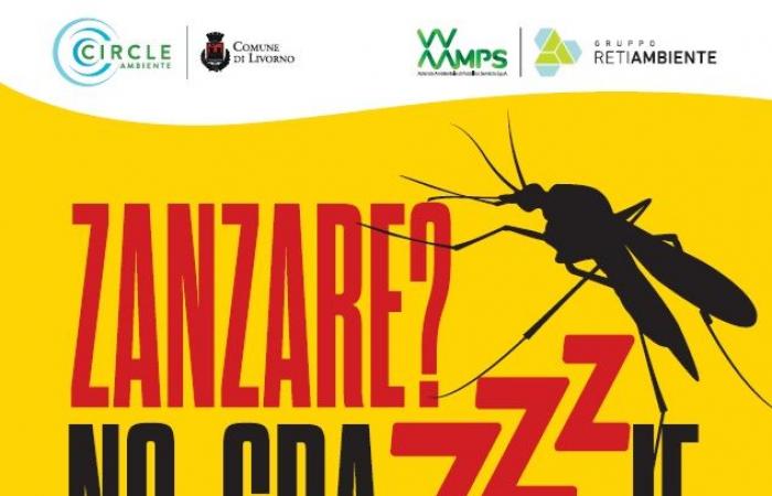 Mücken? Nein danke! – Aamps Livorno