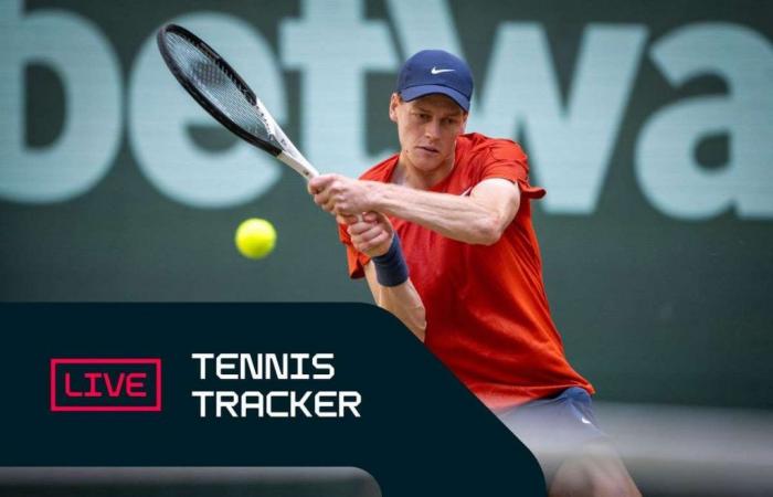 Tennis Tracker: Sinner gewinnt das Halle-Turnier, Paul schlägt Musetti in London