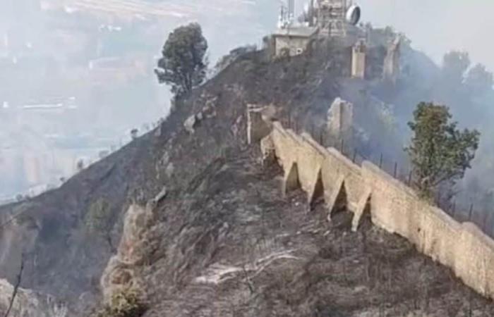 Camaldoli, 100 Hektar Wald wurden durch das Feuer zerstört und es gibt immer noch Ausbrüche