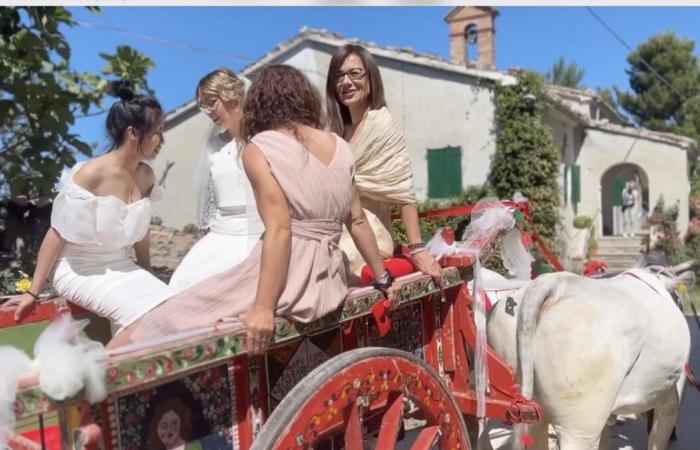 Orangenblüten / Aus Australien und Bologna für das doppelte „Ja“ mit Bräuten auf dem Einkaufswagen – Video
