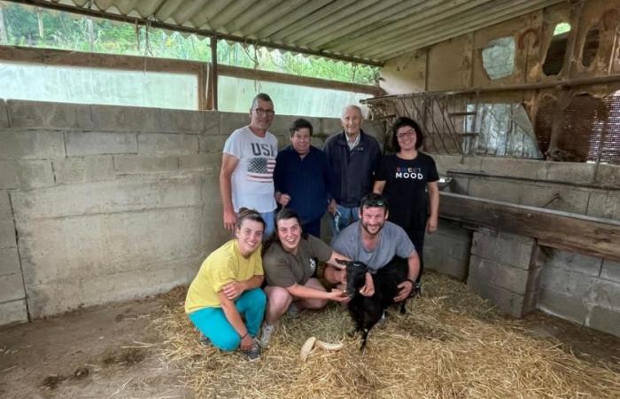 Die vermisste Ziege „Nerina“ wurde in den Wäldern zwischen Umbrien und der Toskana gefunden
