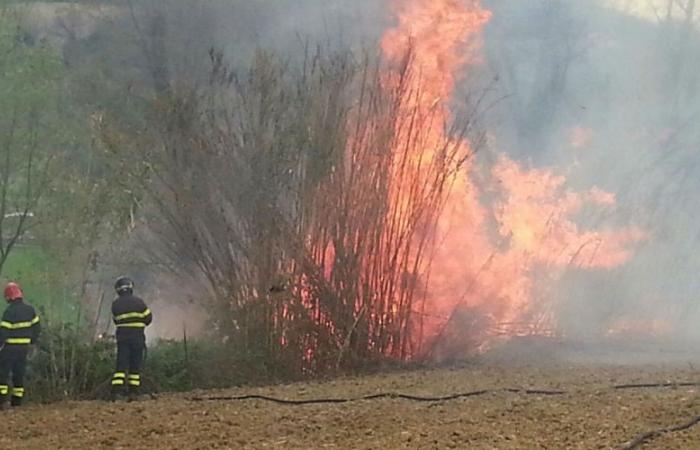 Bei Waldbränden verlängert die Region den Vertrag mit der Feuerwehr um 2,5 Millionen