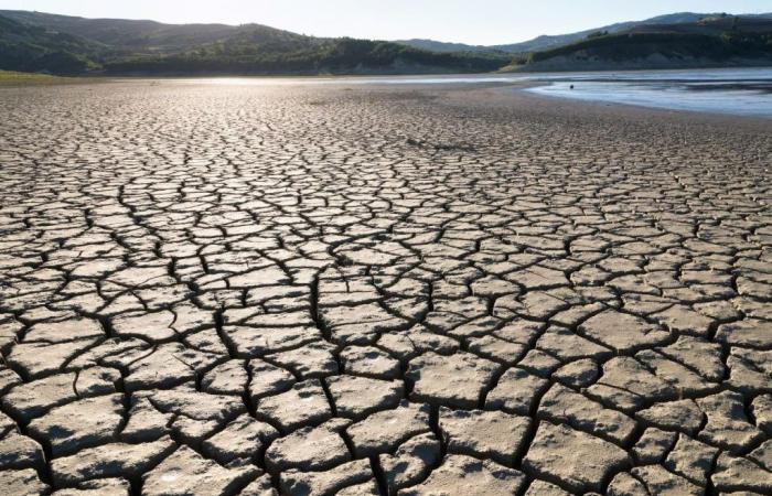 Extreme Dürre auf Sizilien. Wann wird es auf der Insel wieder regnen?