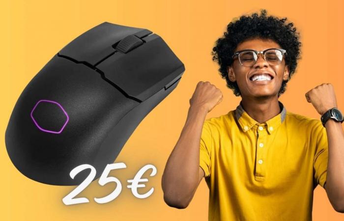 kabellose Gaming-Maus zum SCHOCKPREIS (25 €)