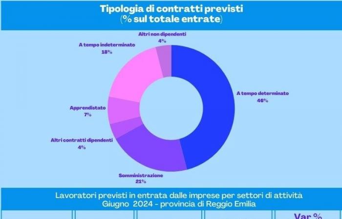 die am häufigsten nachgefragten Zahlen Reggioline -Telereggio – Aktuelle Nachrichten Reggio Emilia |