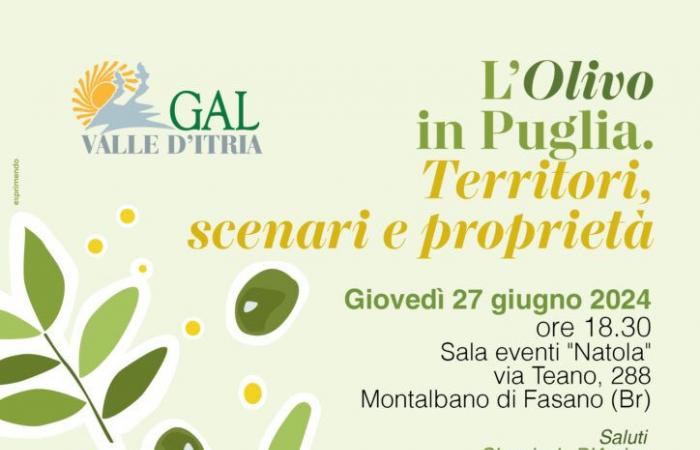 Der Olivenbaum in Apulien: Konferenz in Montalbano di Fasano
