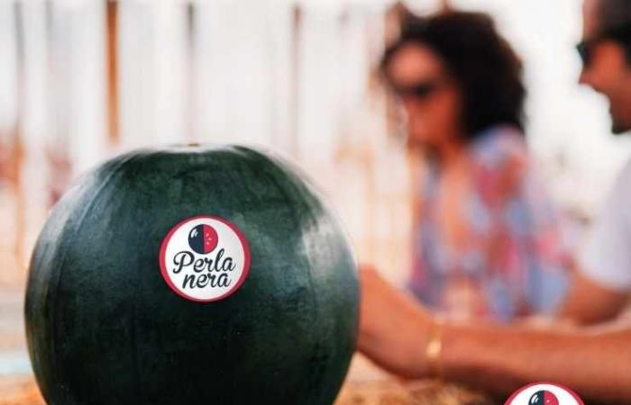 Italienische Wassermelone gewinnt den Obst- und Gemüse-Oscar, hier ist das ausgezeichnete Konsortium
